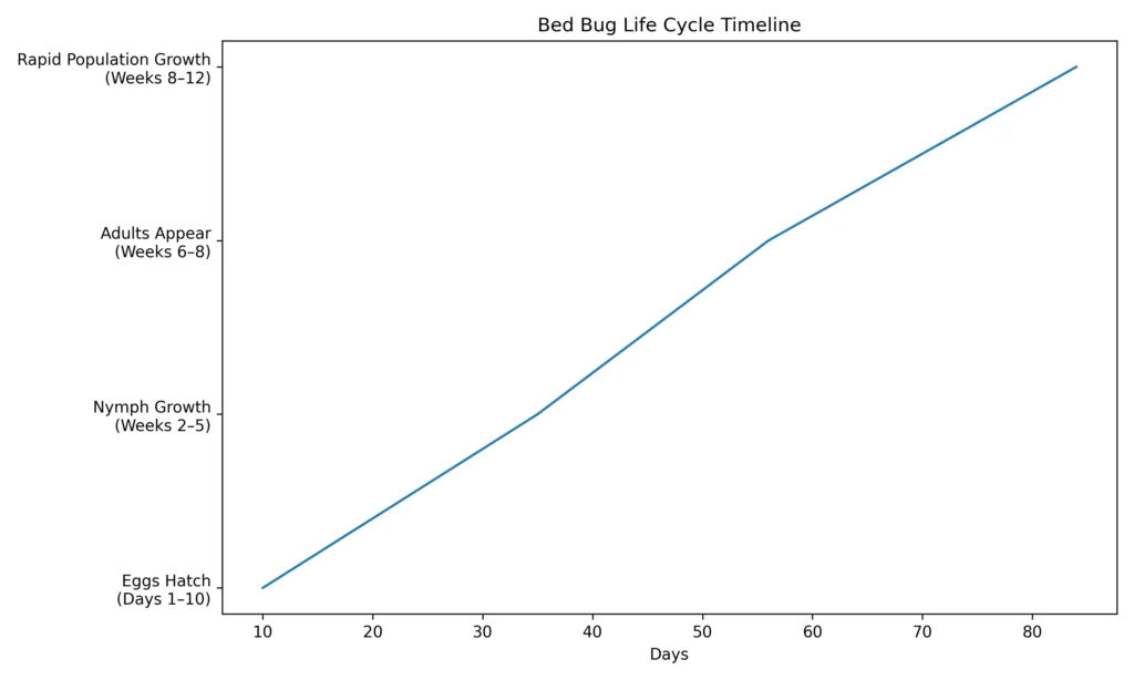 Bed bug life cycle timeline showing egg hatching, nymph growth, adult emergence, and rapid population increase over 12 weeks.