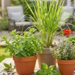 Wasp Repellent Plants