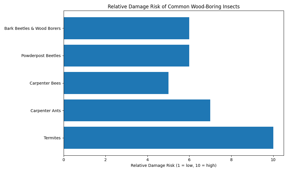 Comparison chart showing damage risk levels of common wood-boring insects including termites, carpenter ants, carpenter bees, powderpost beetles, and bark beetles.