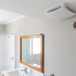 Plaster Bagworms in Bathroom Causes, Removal, and Prevention