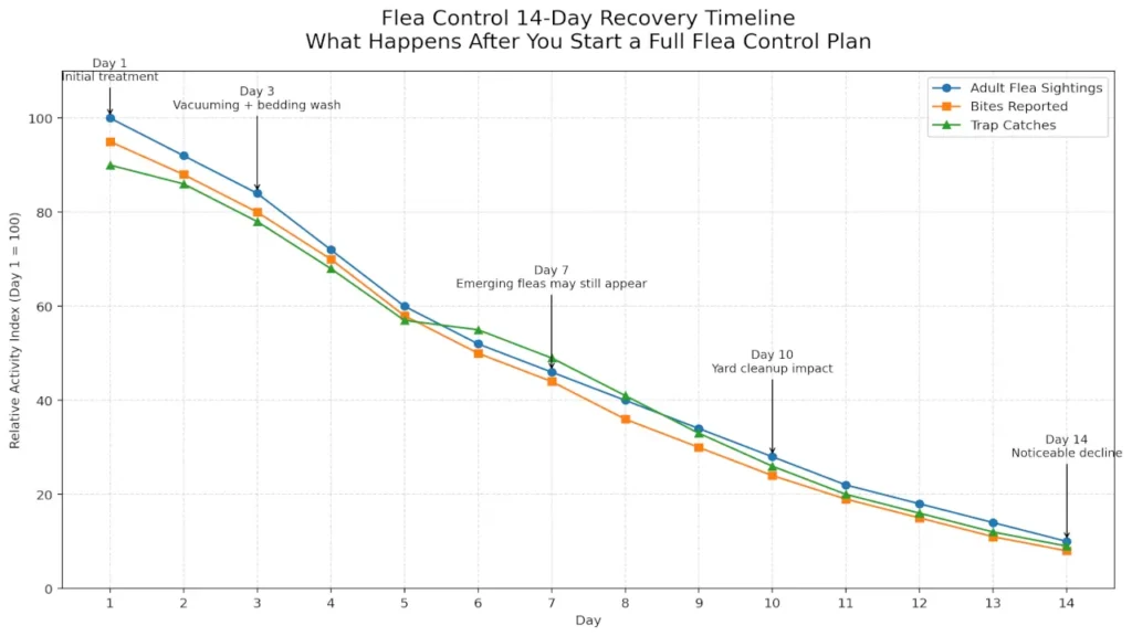Timeline graph showing how flea activity usually declines over 14 days after starting a full flea control plan