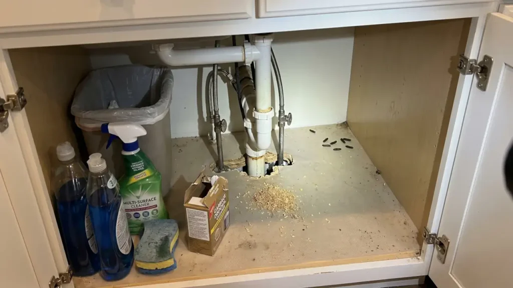 Small mouse entry gap around plumbing under a kitchen sink with visible droppings nearby