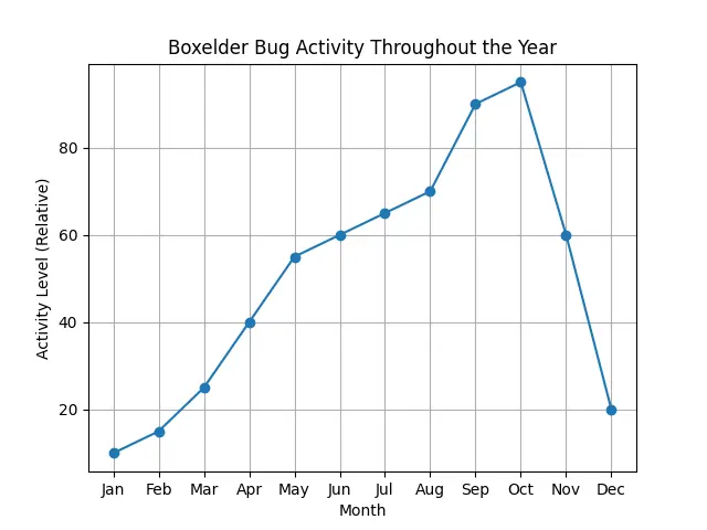 Seasonal boxelder bug activity showing peak clustering and home invasion in fall months