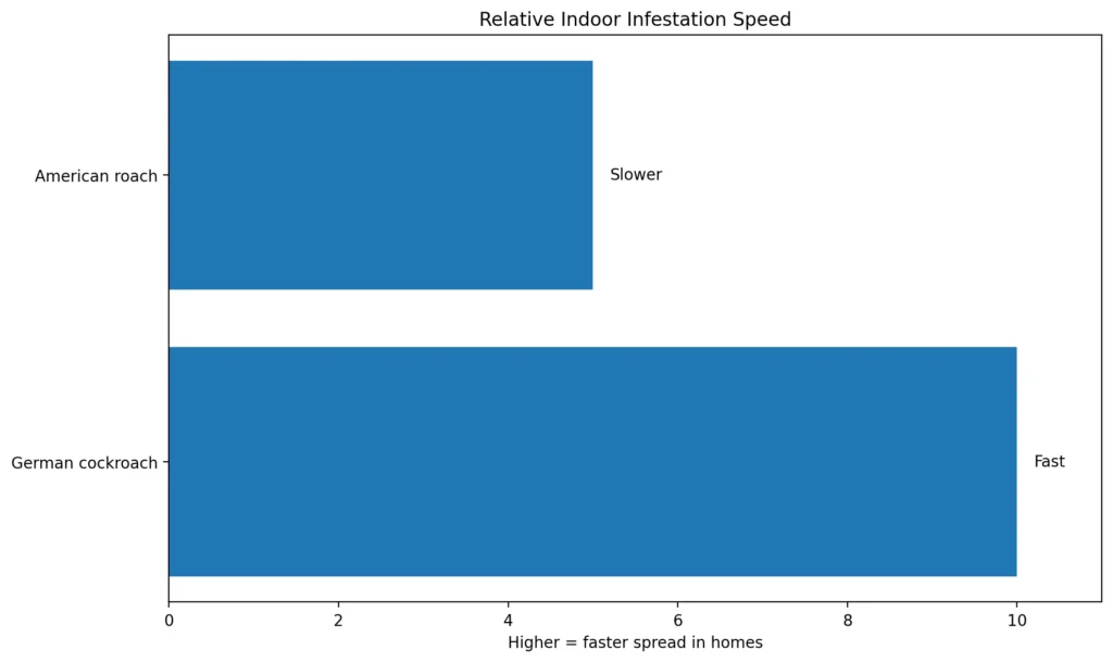 Relative infestation speed chart comparing German cockroaches and American roaches indoors