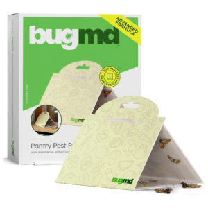 Pantry Moth Trap for Monitoring Adult Moths