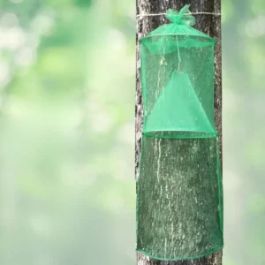 Spotted lanternfly circle trap kit
